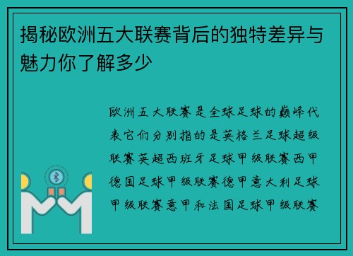 揭秘欧洲五大联赛背后的独特差异与魅力你了解多少